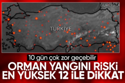 İşte orman yangını riski en yüksek 12 il