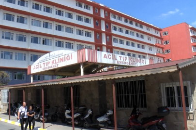 İstanbul-Fatih'te sokak köpeklerinin saldırısına uğrayan bir kişi hayatını kaybetti