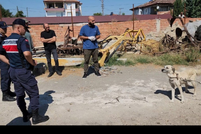 Amasya’da köpeğini kamyonete bağlayıp sürükleyen şüpheliye 1500 lira ceza
