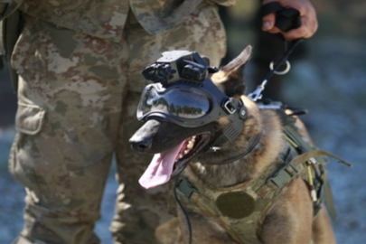 TSK'nın eğitimli köpekleri için tasarlanan sistem, 'Parka' ile test edildi