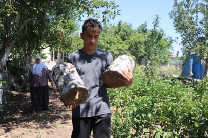 Dünya şampiyonluğu için tarlada çapa yapıyor, bahçede odun kırıyor