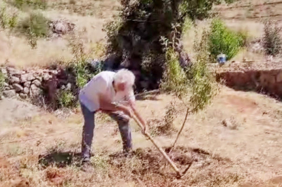 Mustafa öğretmen 10 yılda 20 binden fazla fidanı toprakla buluşturdu