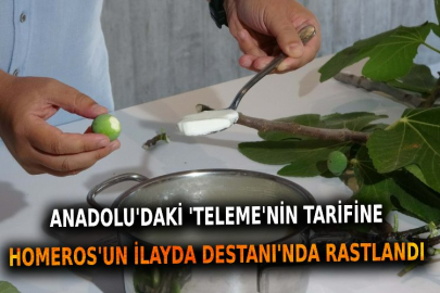 Anadolu'daki 'teleme'nin tarifine 2 bin 750 yıl önce yazılan Homeros'un İlyada Destanı'nda rastlandı