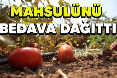 Zarar eden çiftçi mahsulünü bedava dağıttı!