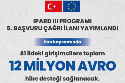 Bakan Yumaklı: Girişimcilere 12 milyon avro hibe desteği sağlanacak