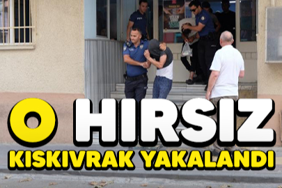Bursa'da 3 ayrı hırsızlık zanlısı tutuklandı