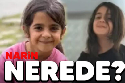 Narin soruşturmasında sıcak gelişme!