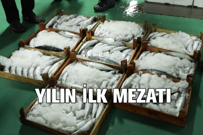 Gürpınar Balık Hali'nde yeni av sezonunun ilk mezatları yapıldı