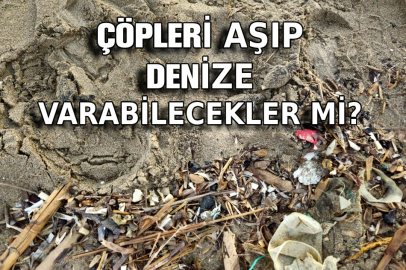 Yavru carettaların çöplerin içinden denize ulaşma mücadelesi