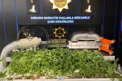 ANKARA'da 20 bin uyuşturucu hap ve 57 kök kenevir ele geçirildi