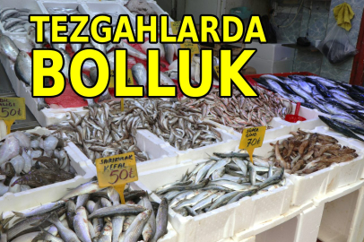 Samsun'da tezgahlarda palamut bolluğu