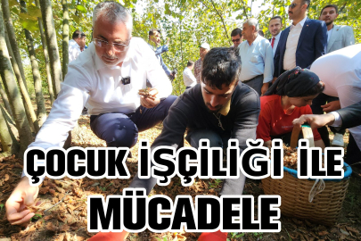Çocuk İşçiliği ile Mücadele