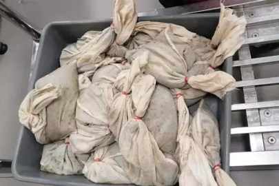 İstanbul Havalimanı’nda 20 bin adet sülük ele geçirildi