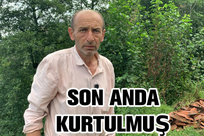Heyelandan son anda kurtulmuş