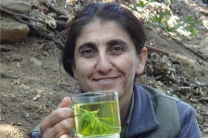 MİT'ten PKK/KCK'nın sözde İran sorumlusuna nokta operasyon