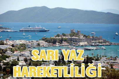 Bodrum'da 'sarı yaz' hareketliliği; otellerdeki doluluk yüzde 90'a ulaştı