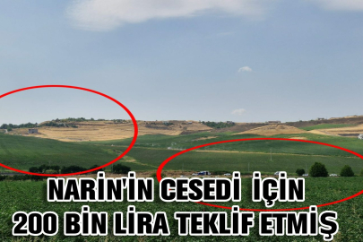 Narin’i, tutuklu amcasının 200 bin lira teklifi karşılığında dere kenarına saklamış