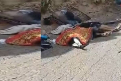 Yemen'de yolcu otobüsü devrildi
