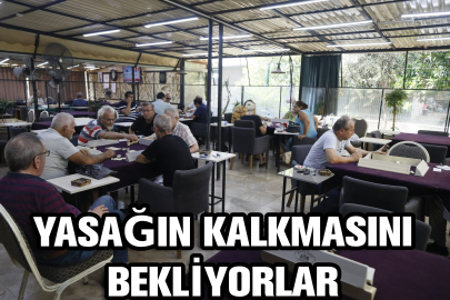 Nargile yasağı'nın kaldırılmasını bekliyor