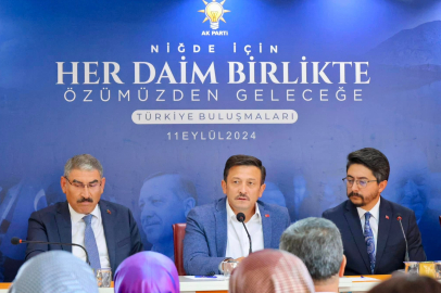 AK Parti'li Dağ: Türkiye'nin erken seçim gibi bir gündemi yok