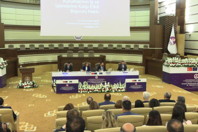 AİHM Yargıcı Yüksel: Türkiye aleyhine AİHM'de 24 bin dava dosyası var