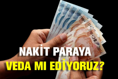 Nakit Paraya Veda mı Ediyoruz?