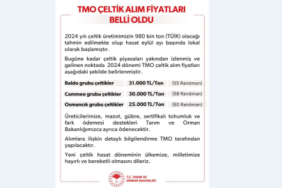 TMO çeltik alım fiyatları belirlendi