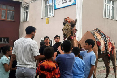 Antalya'dan Ağrı'ya kurbanlık gönderilen deveye ilgi