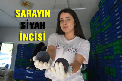 Buckingham Sarayı'nın sofralarını süsleyen 'Bursa siyahı', AB tescilli olarak Avrupa yolculuğuna çıkıyor