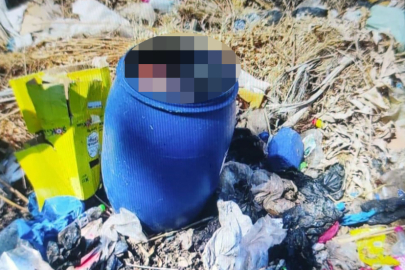 Elleri ve ayakları bağlı halde fıçıda ölü bulunan profesörün oğlu tutuklandı