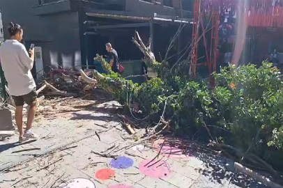 Kadıköy'de ağaç sokağa devrildi; otomobil zarar gördü