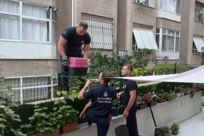 Avcılar'da yaralı kediyi itfaiye kurtardı