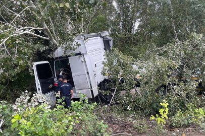 TIR, ağaca çarptı; sıkışan şoförü itfaiyeye kurtardı