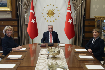 Cumhurbaşkanı Erdoğan, TİKAD Başkanı Bulut'u kabul etti