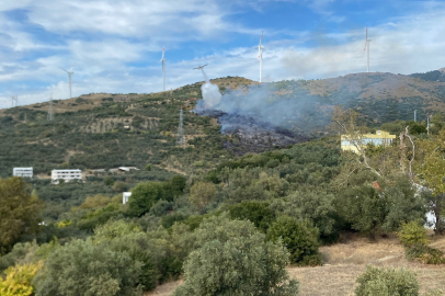 Erdek'te orman yangını 2 saatte söndürüldü; adalara elektrik verilemiyor