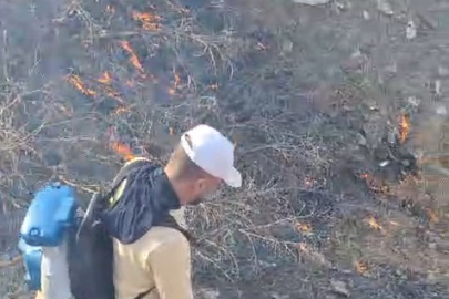 Siirt’te örtü yangını; 15 dönüm alan zarar gördü