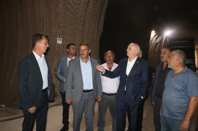 TZOB Başkanı Bayraktar: Patatese bu sene bir müdahale bekliyoruz