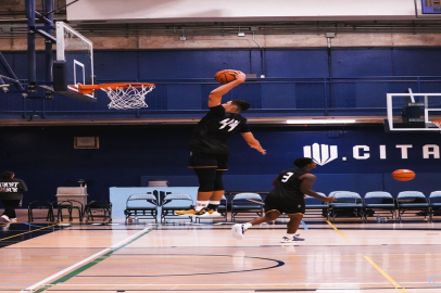 UAlbany Great Danes’ta forma giyecek