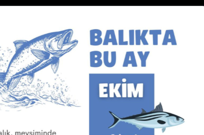Ekim ayında hangi balıklar yenmeli?