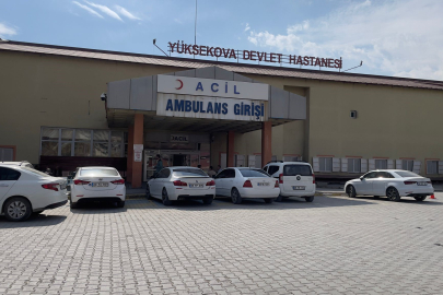 Dini nikahla birlikte yaşadığı kadın ve kızını bıçakla yaralayan İranlı gözaltında