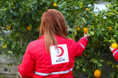 Türk Kızılay, depremden etkilenen 2 bin 797 çiftçiye 70.8 milyon destek verdiğini duyurdu