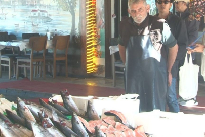 Balık tezgahlarında en bol palamut sezonu yaşanıyor