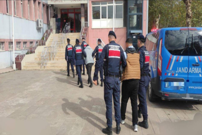 Hayvan hırsızlığına 2 tutuklama