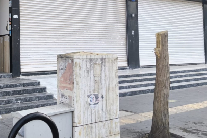 Kaldırımdaki 15 yıllık ağacı motorlu testereyle kesti; o anlar kamerada