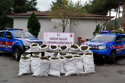 Ormanda 146 kilogram esrar ele geçirildi; 2 gözaltı