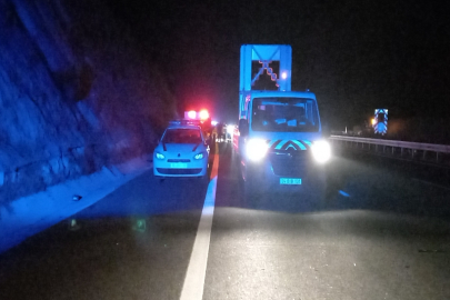 Devrilen tomruklar zincirleme kazaya neden oldu: 1 ölü, 9 yaralı