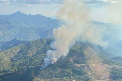 Muğla'da orman yangını