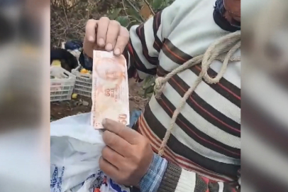 İzinsiz kopardığı cennet hurması için ağaca poşetle para astı