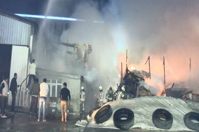 Esenyurt'ta ahırda çıkan yangında, çok sayıda kurbanlık hayvan telef oldu