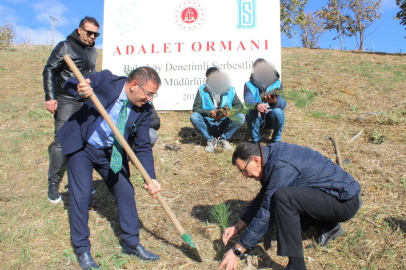 Küçükçekmece'de hükümlülerden Adalet Ormanı'na 300 fidan